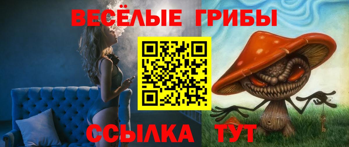 закладки  Псилоцибиновые грибы Psilocybine cubensis  Вход с VPN  Бийск 